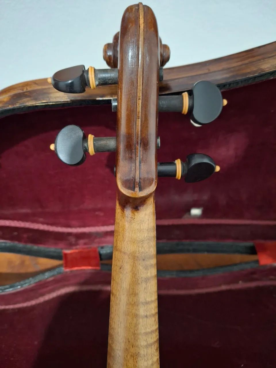 Violino Rigat Rubus - Foto 5