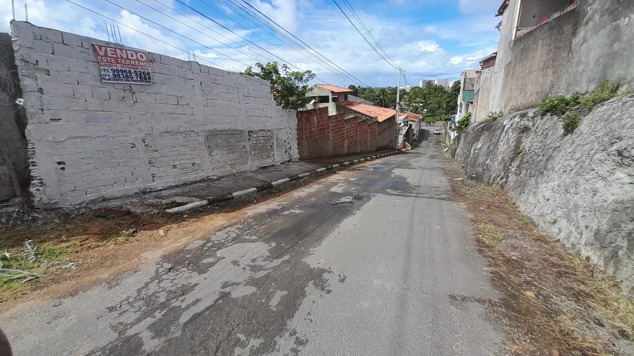 Foto - Salvador - Jardim das Margaridas