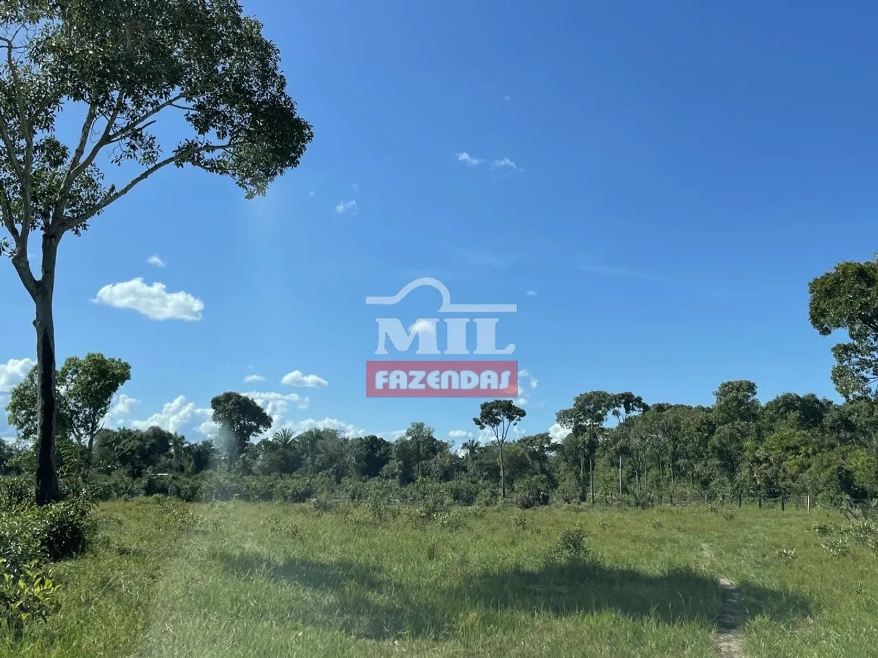 Fazenda de 1300 alqueires (6.292 hectares) no Cocalinho - Mato Grosso - Foto 2