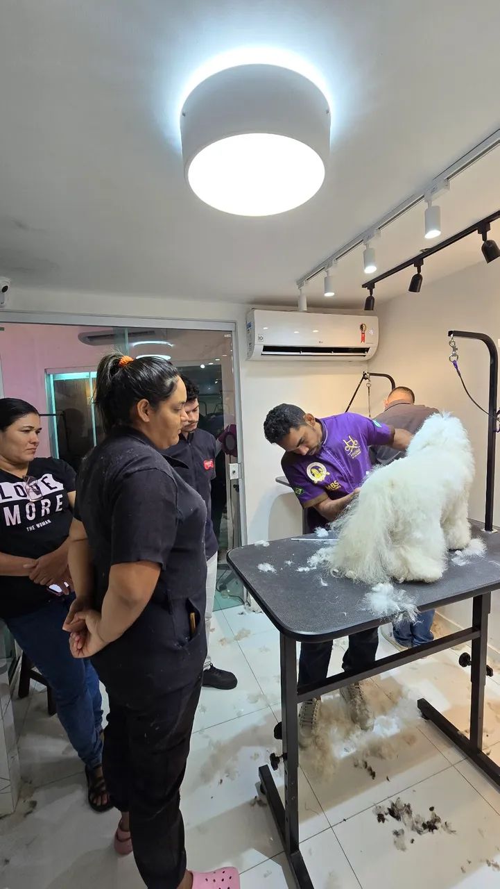 Cursos profissionalizantes de banho e tosa completo com apostilas, estágio e certificado  - Foto 5