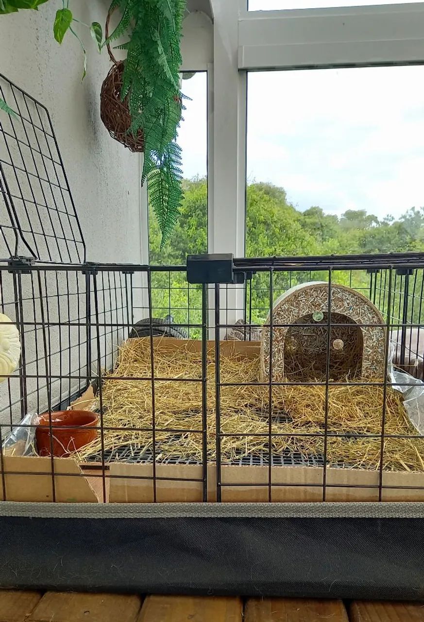 Cercado para roedores, coelhos e outros - Foto 3