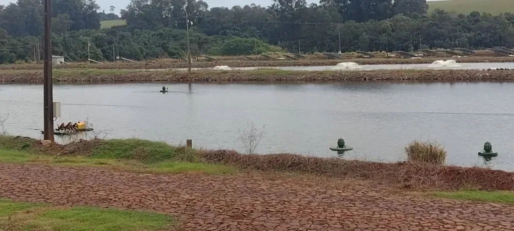 Fazenda de Piscicultura