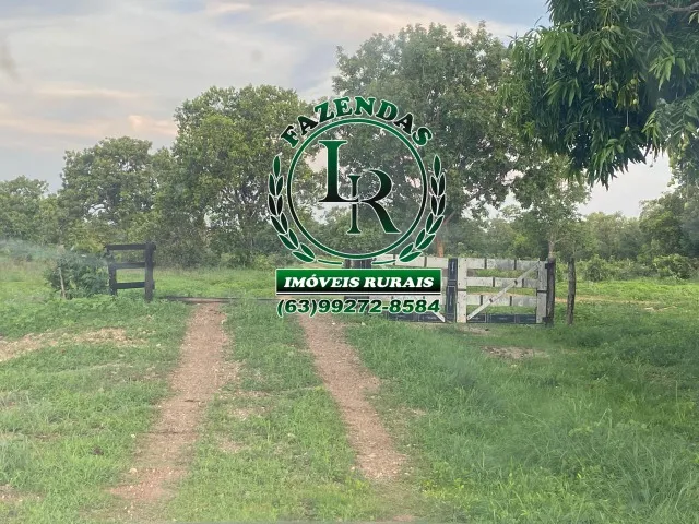 Fazenda 38 Alqueires Tocantins