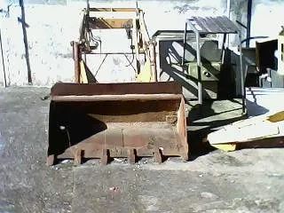 Bobcat - Foto 4