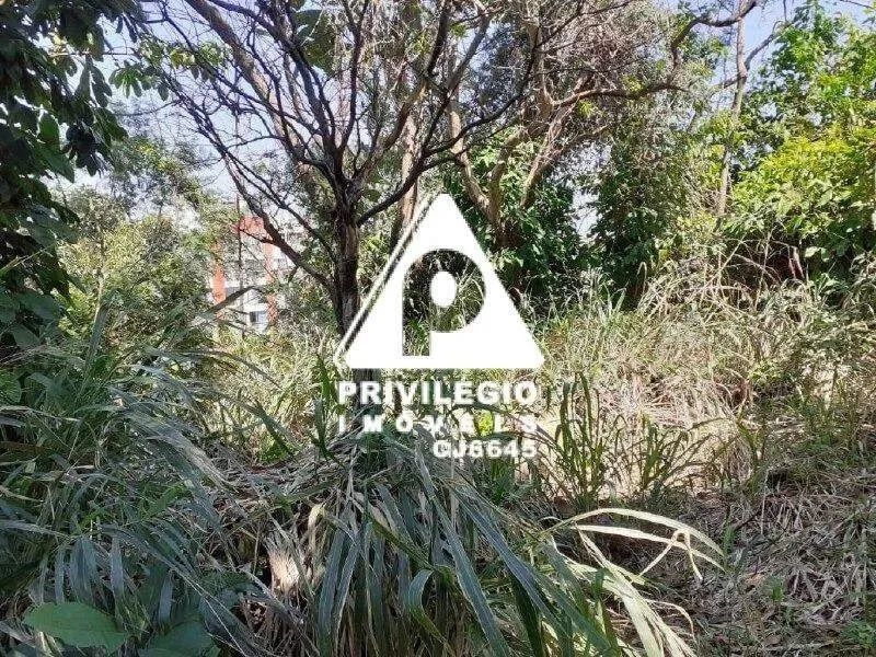 Terreno Jardim Botânico - Foto 4