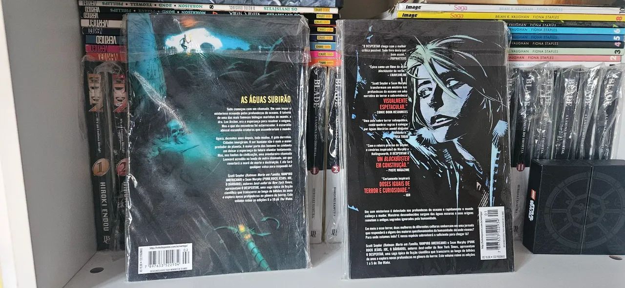 Despertar - Scott Snyder e Greg Capullo (Parte 1 e 2) - Foto 2