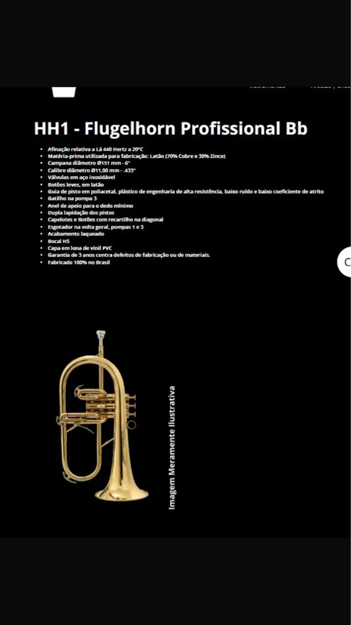 Flughorn Profissional HS