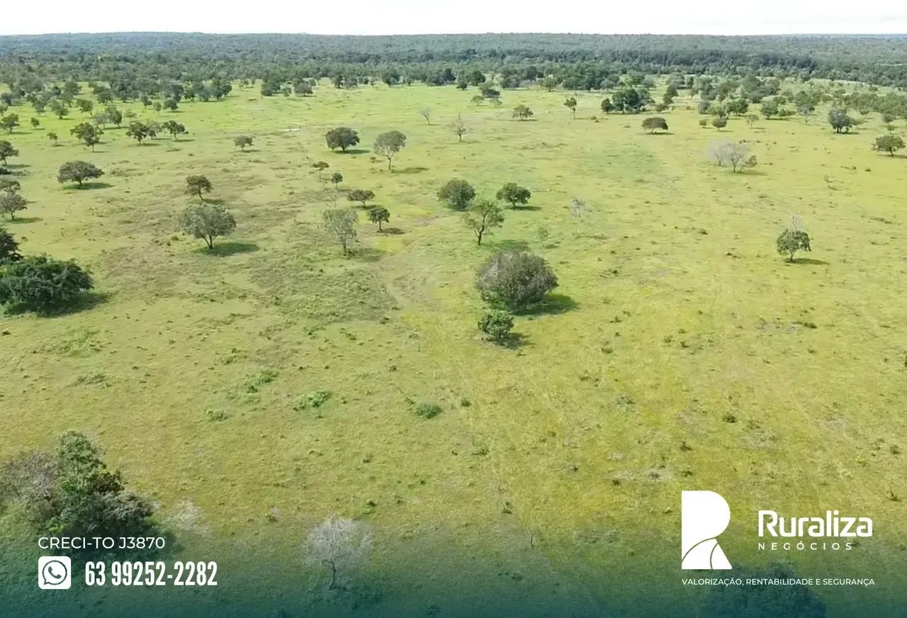 ALTO POTENCIAL AGRÍCOLA | ÓTIMA OPORTUNIDADE - Foto 2