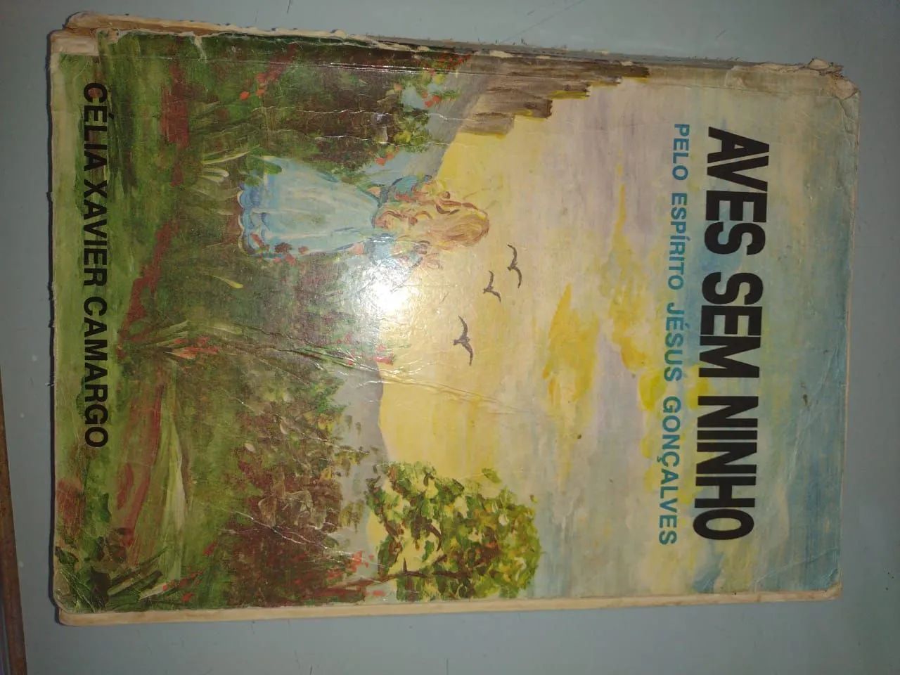 Diversos - Foto 4