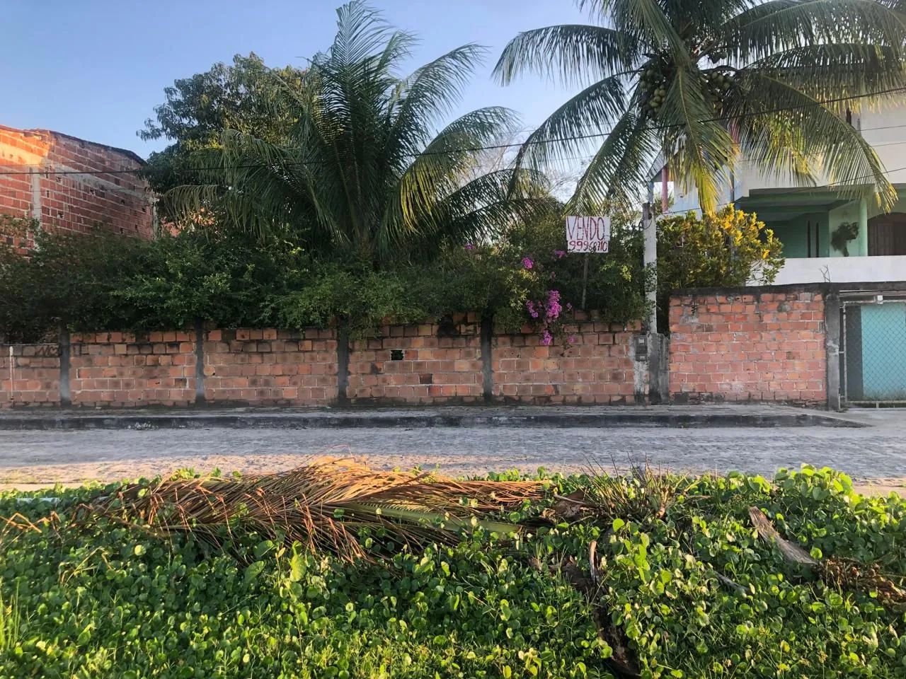 Foto - Dias DÁvila - 