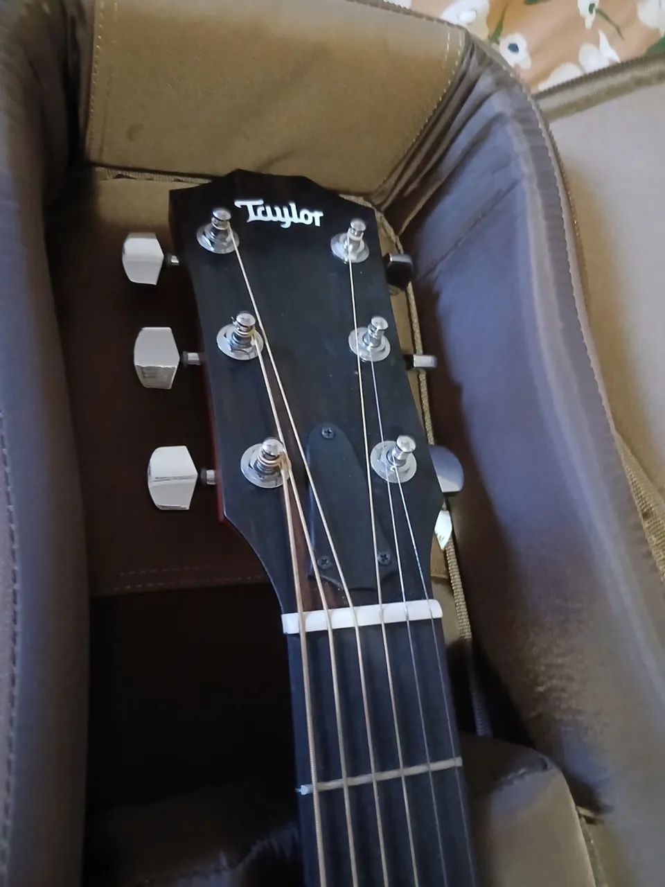 Taylor Koa 214  - Foto 2