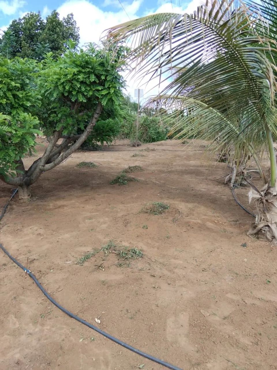 TERRENO 1200 M², ÁREA ÚTIL 900 MST² - Foto 2