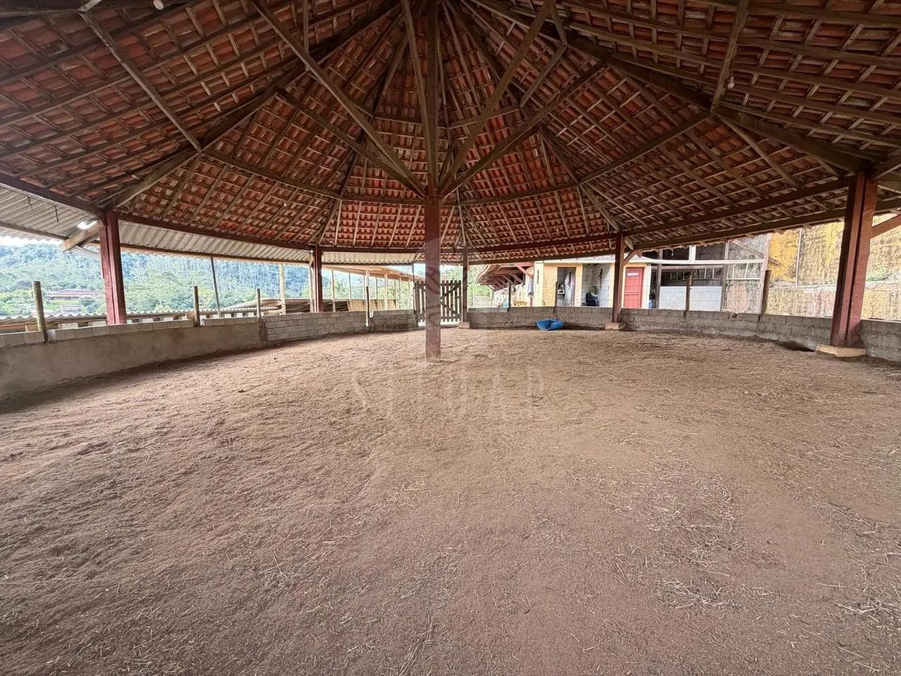Haras com Estrutura para Hípica e Cavalos Criados em Baias - Foto 3