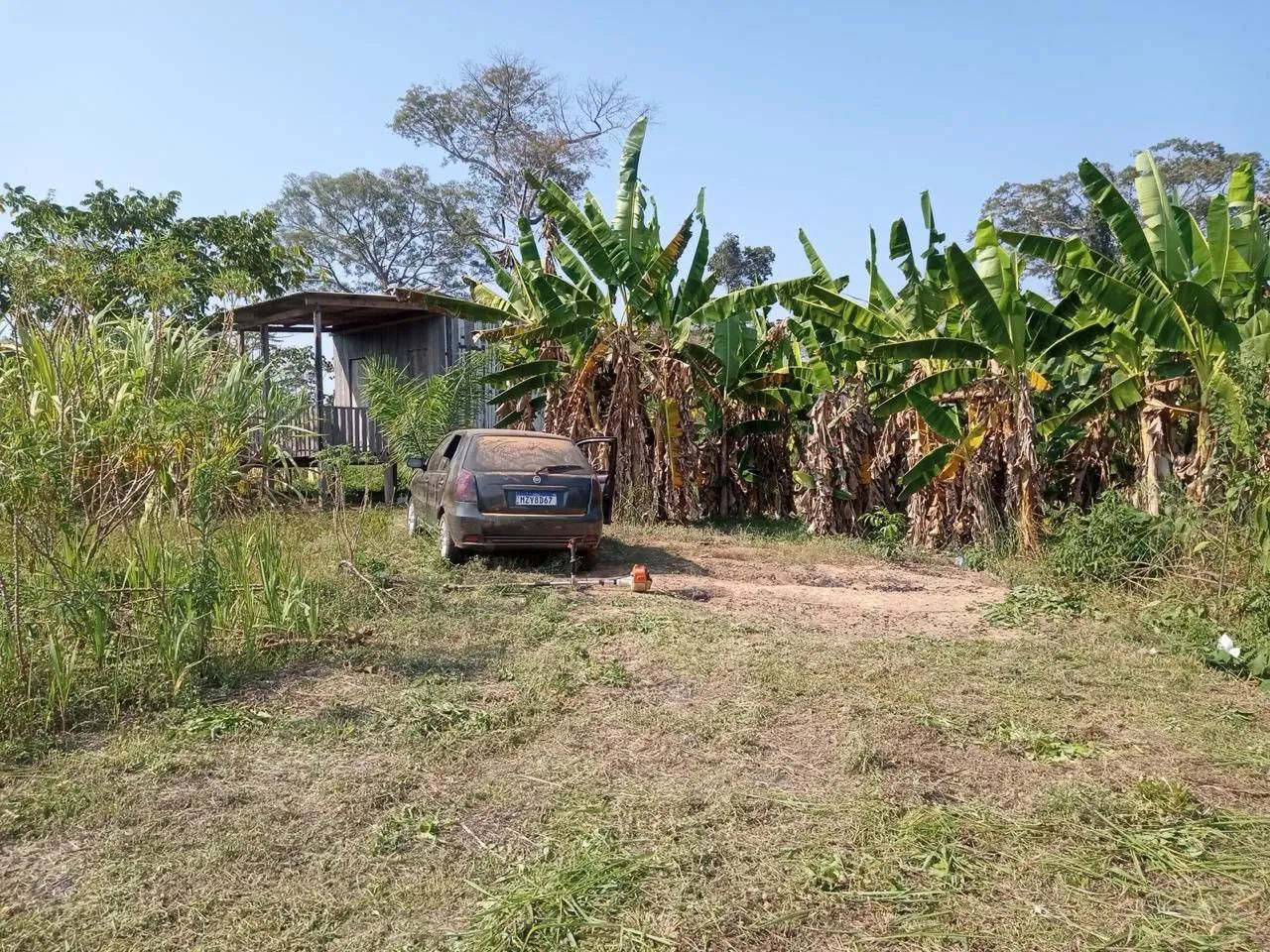 Vendo essa chácara no mutum 35.000 - Foto 3