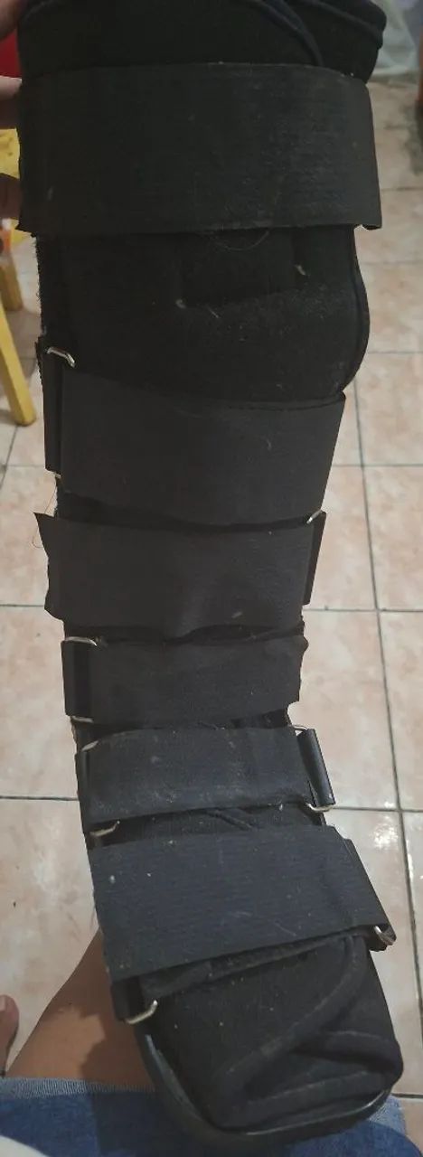 Bota