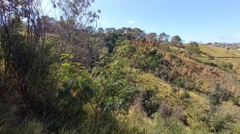 Lote 420 m² no bairro Manacás. - Foto 5
