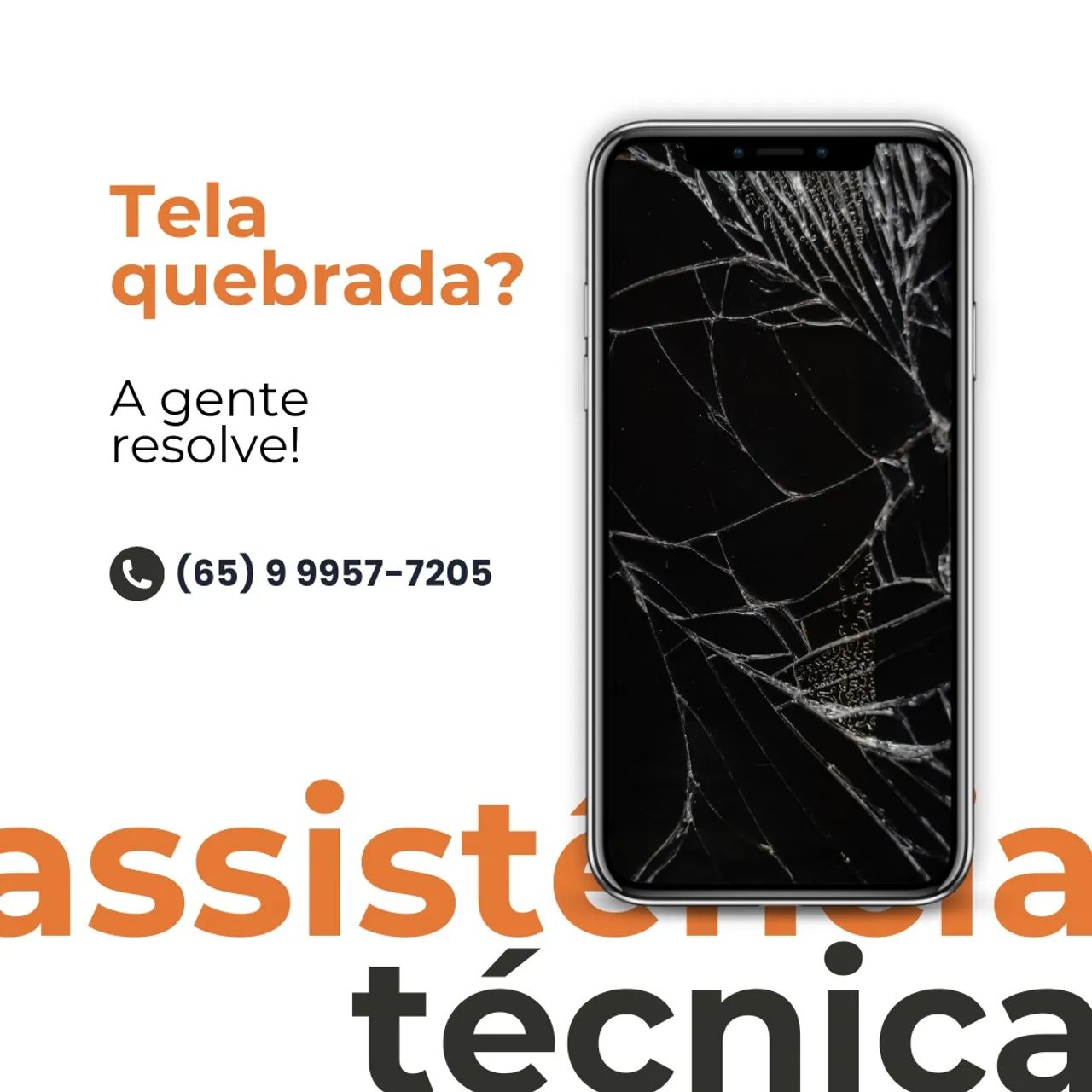 Assistência Técnica Profissional C/Garantia