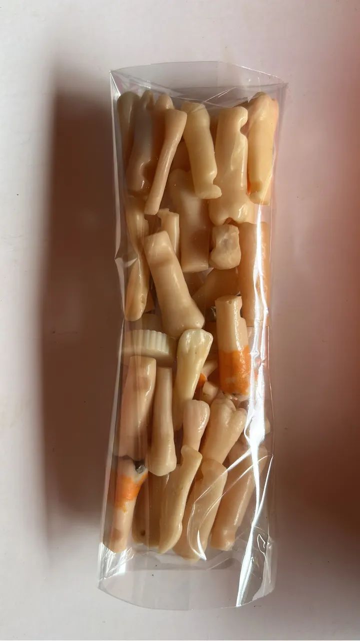 manequim odontológico pronew - dentistica  - Foto 5