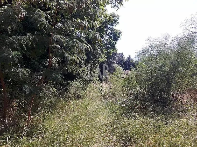 Lote - Terreno à venda, Bandeirantes (Pampulha) - Belo Horizonte/MG - Foto 5