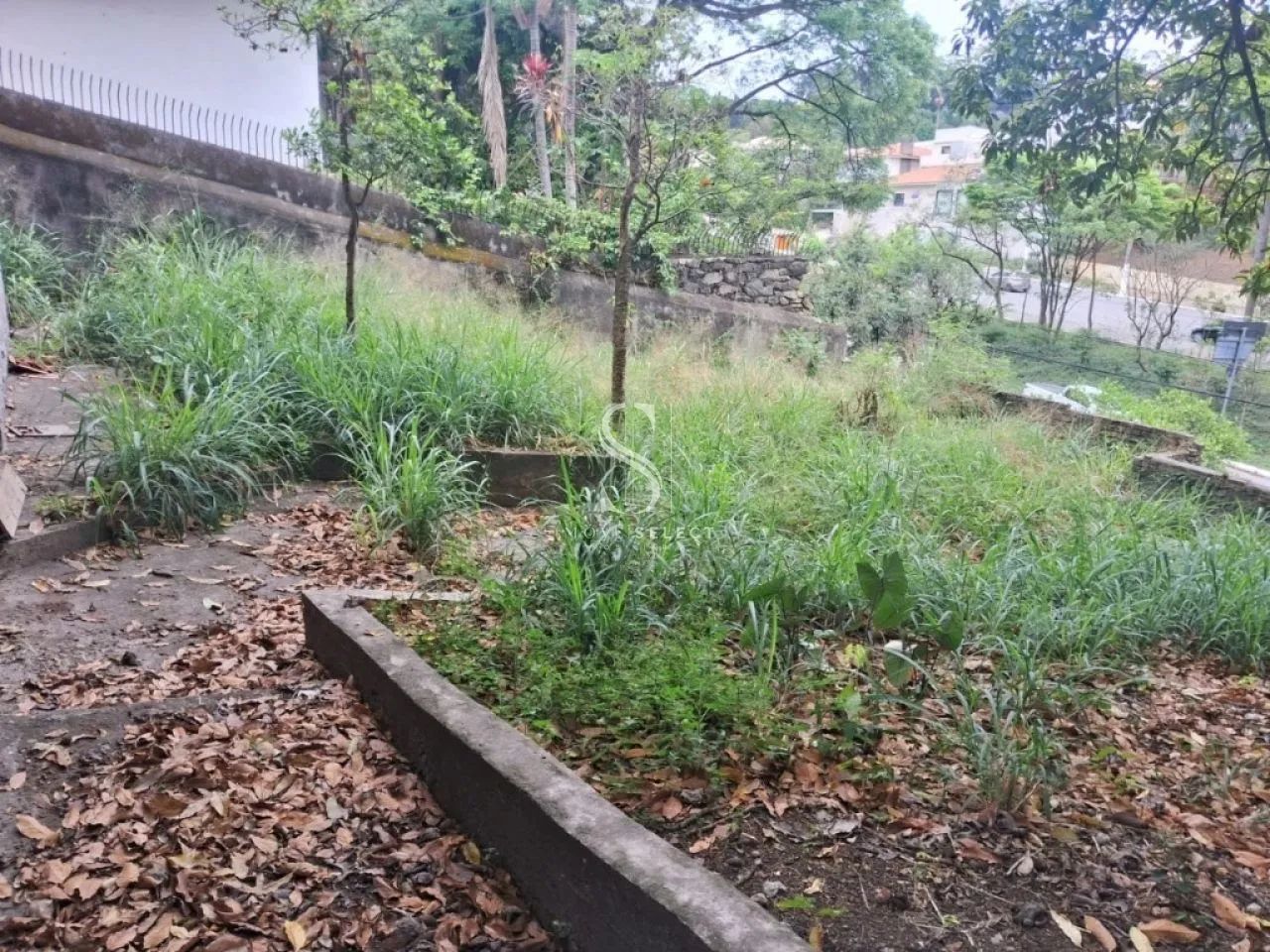 Terreno em São Paulo - Foto 4
