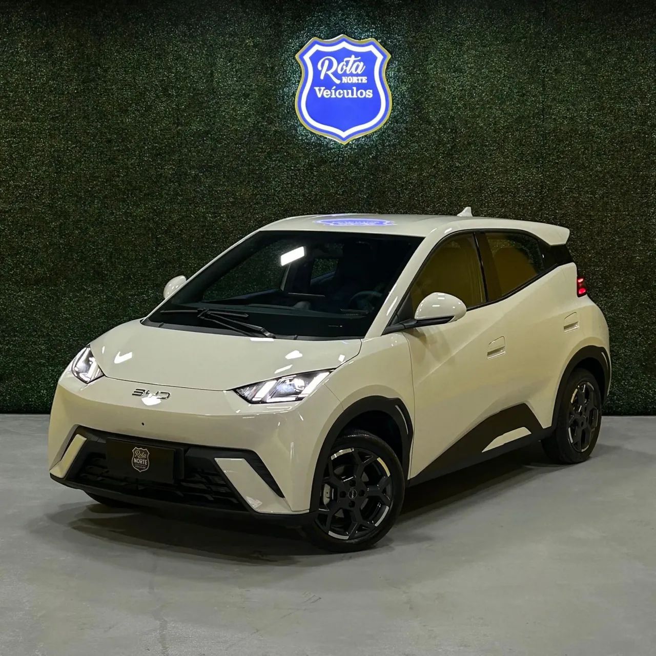 BYD Dolphin Mini (Elétrico) 2027 - Foto 5