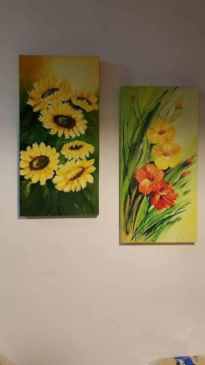 Telas pintadas a mão (Quadros) 