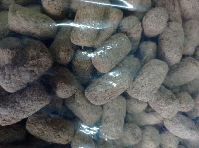 labina racao para roedores - Foto 4