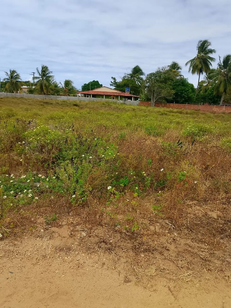 VENDO TERRENO COM 1KM DE DISTÂNCIA DA PRAIA E DUNAS DA CAUEIRA  - Foto 3