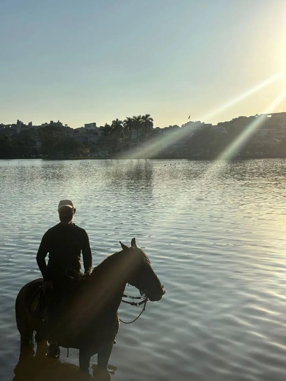 Cavalo  - Foto 2