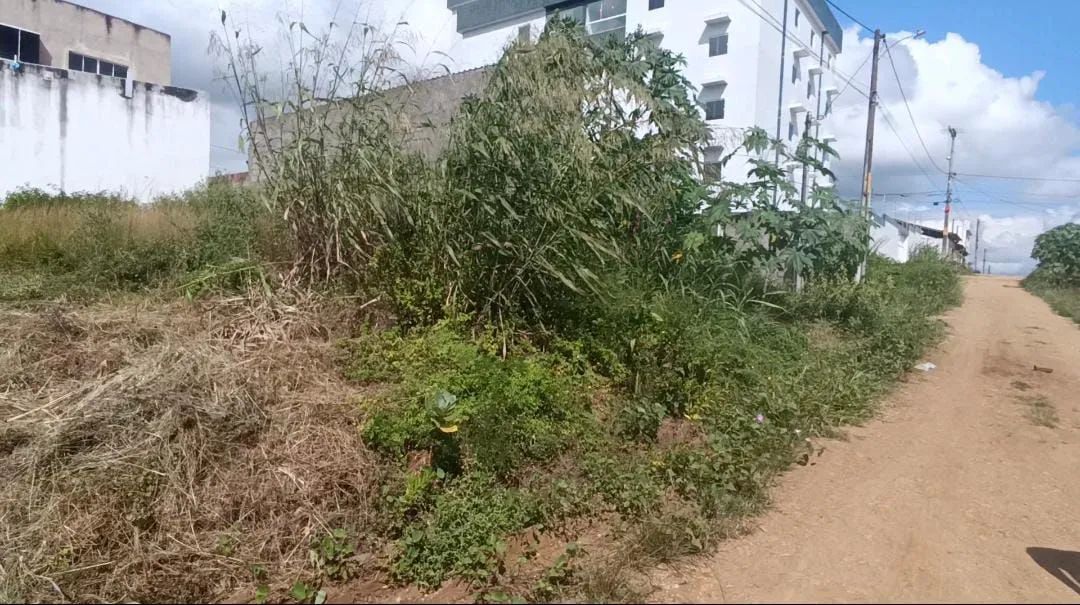 Terreno Lot. Santa Fé em Limoeiro  - Foto 4
