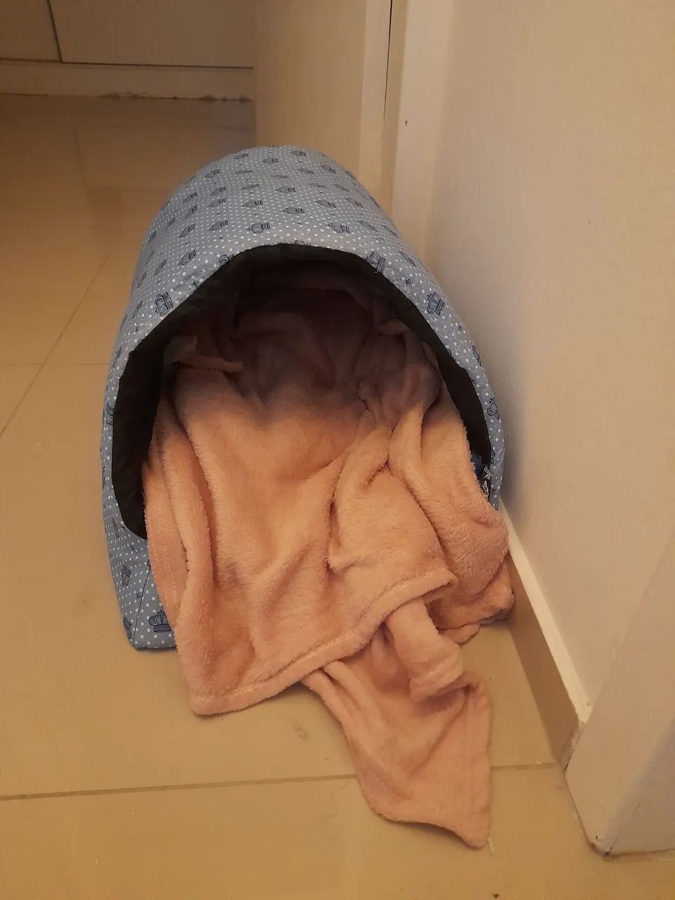 Vendo casinha gato e toca - Foto 5