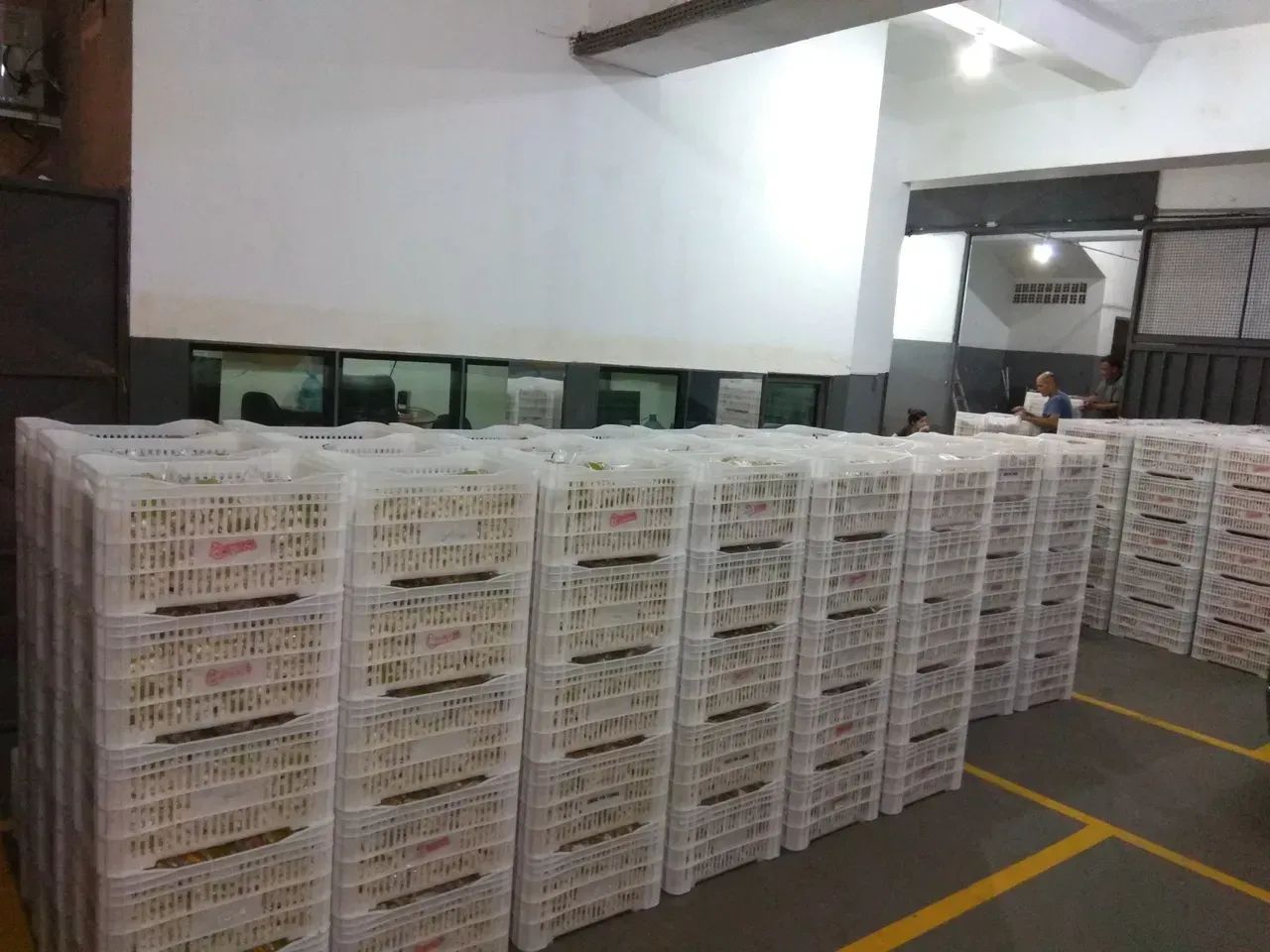 Galpão/Depósito/Armazém para venda com 2400 metros quadrados em Mooca - São Paulo - São Pa - Foto 4
