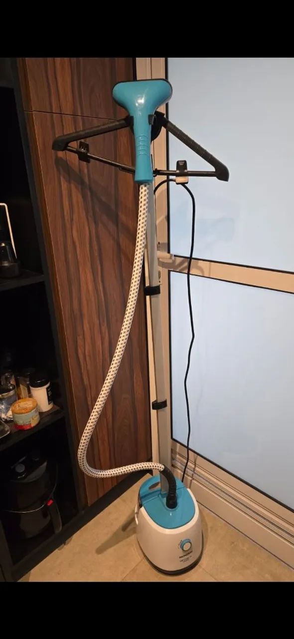 Passadeira a vapor 