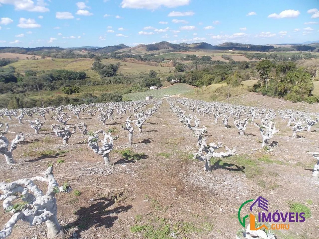 SÍTIO - MACUCO - SP - Foto 2