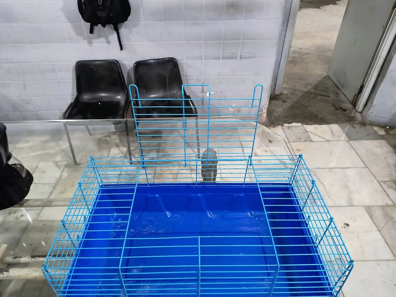 Gaiola para coelho 65578343188994121