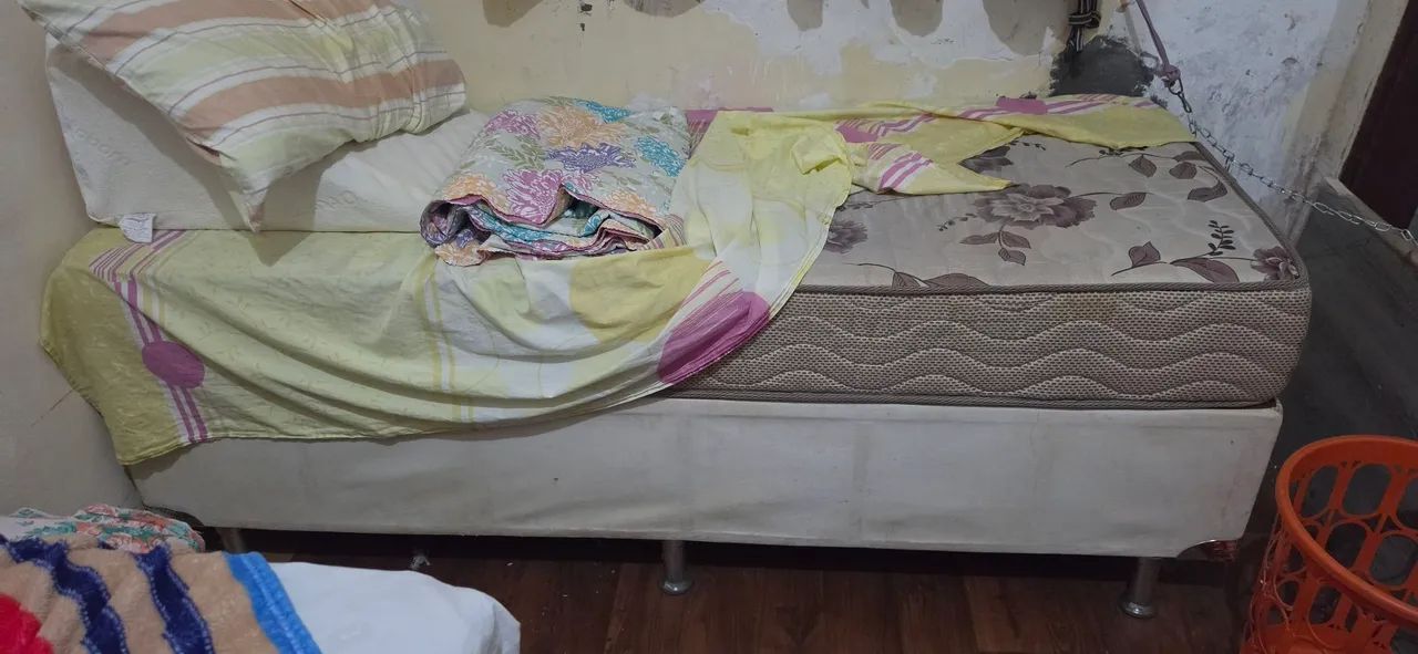Cama 