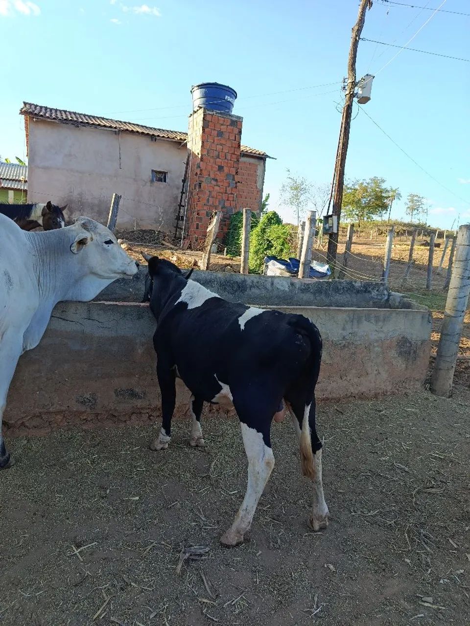 vendo ou troco  - Foto 2