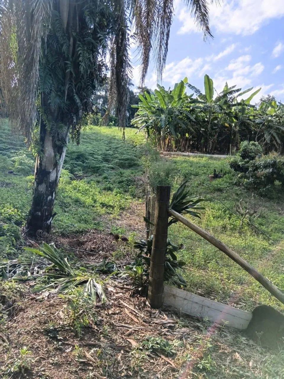 Chacara a venda  - Foto 4