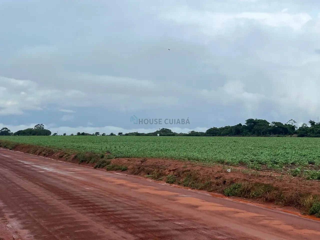 FAZENDA À VENDA  REGIÃO DE NOBRES / MT - Foto 3