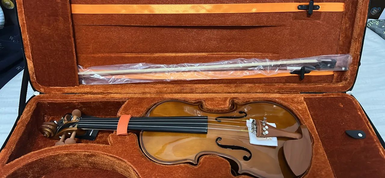 Violino Eagle VE441 4/4