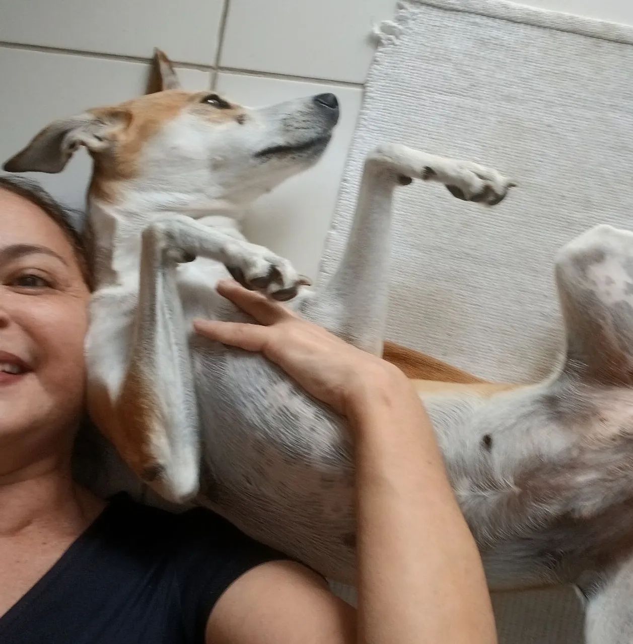 Babá de PET _ Petsitter  - Foto 5