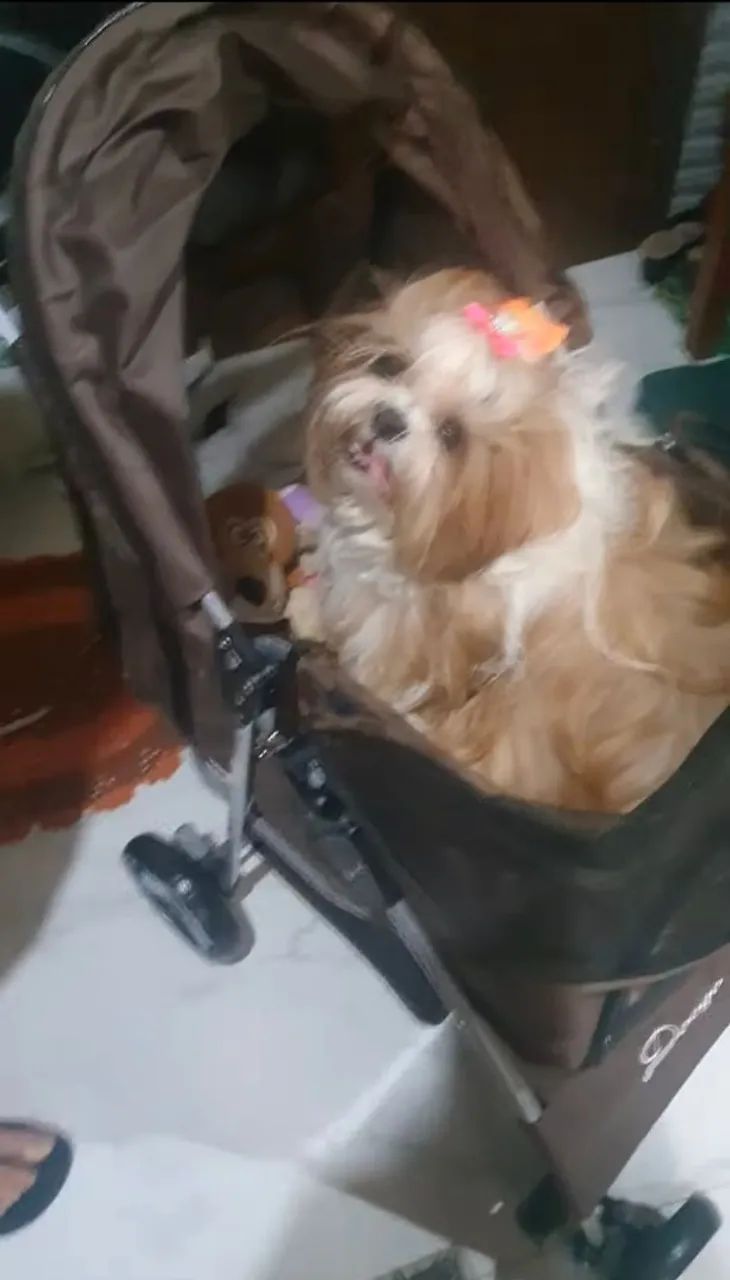 CARRINHO PET MARROM - Foto 3