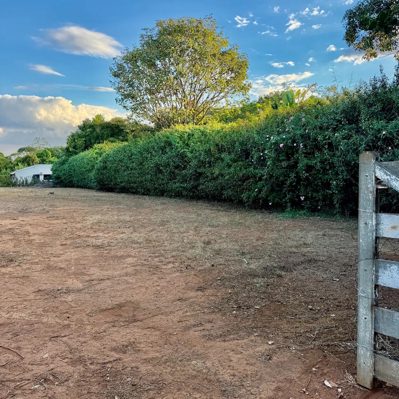 Condomínio Recanto da Mata. Chácara 1.900m2  - Foto 4