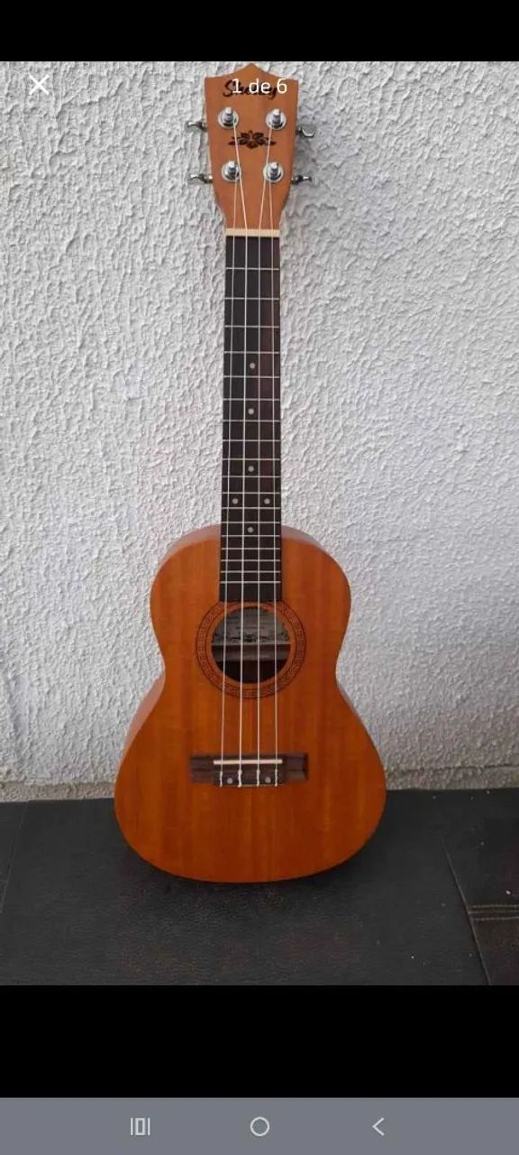 Ukulele Consert - Foto 2