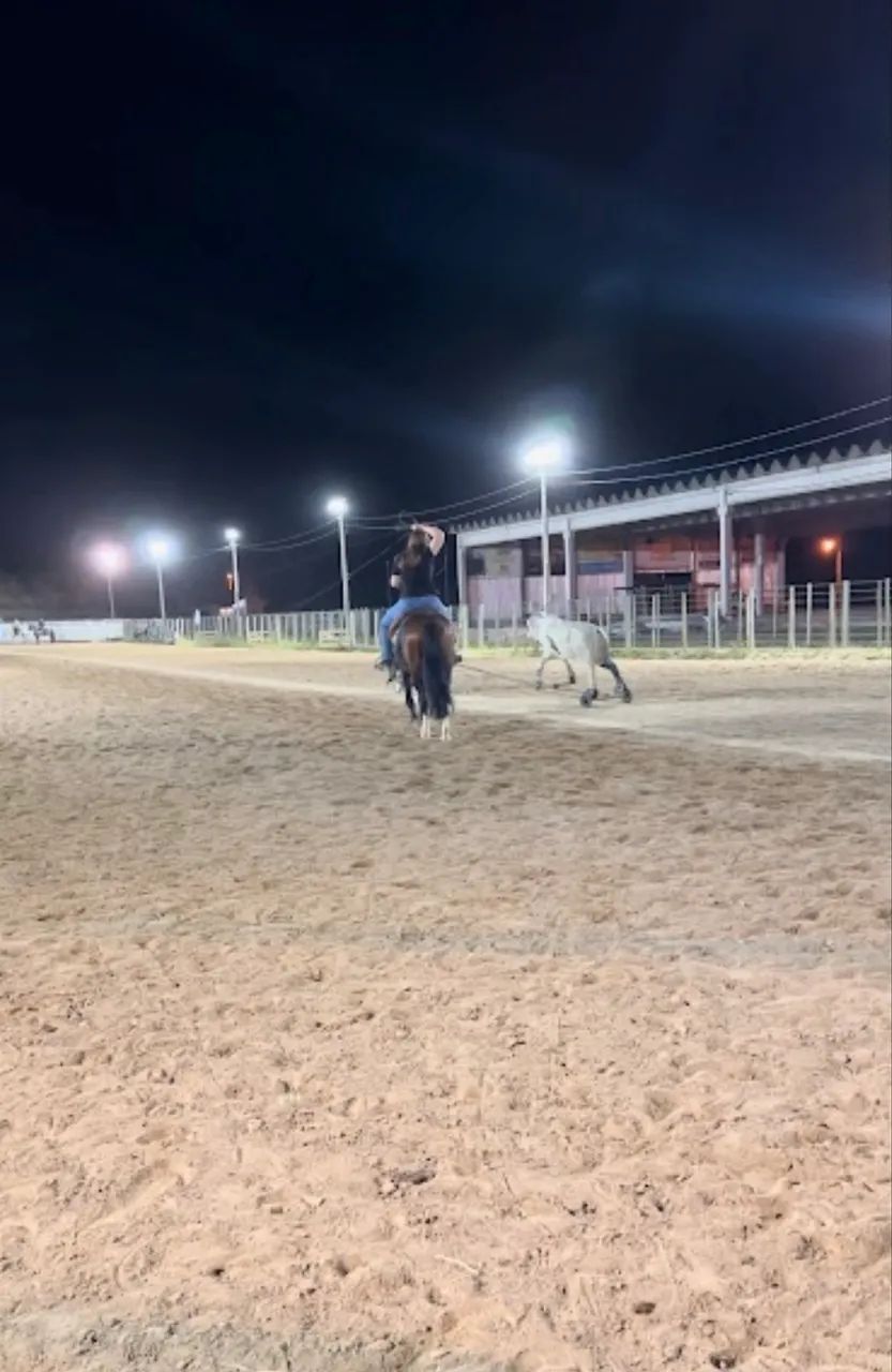 Cavalo Crioulo a venda! - Foto 5