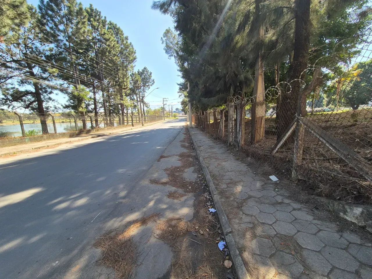 AREA 5000M2 LORENA-SP , 100 MTS DA RODOVIA DUTRA - Foto 3