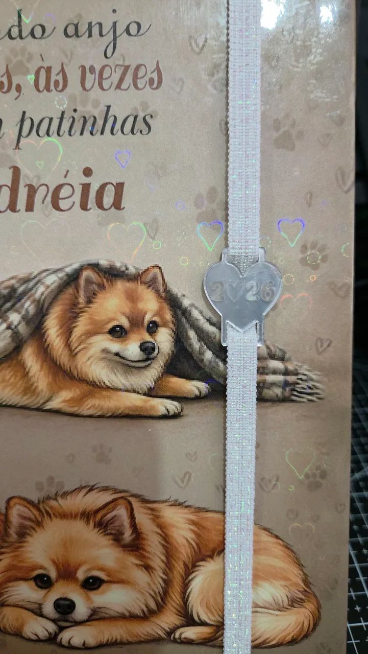 Papelaria  - Foto 4