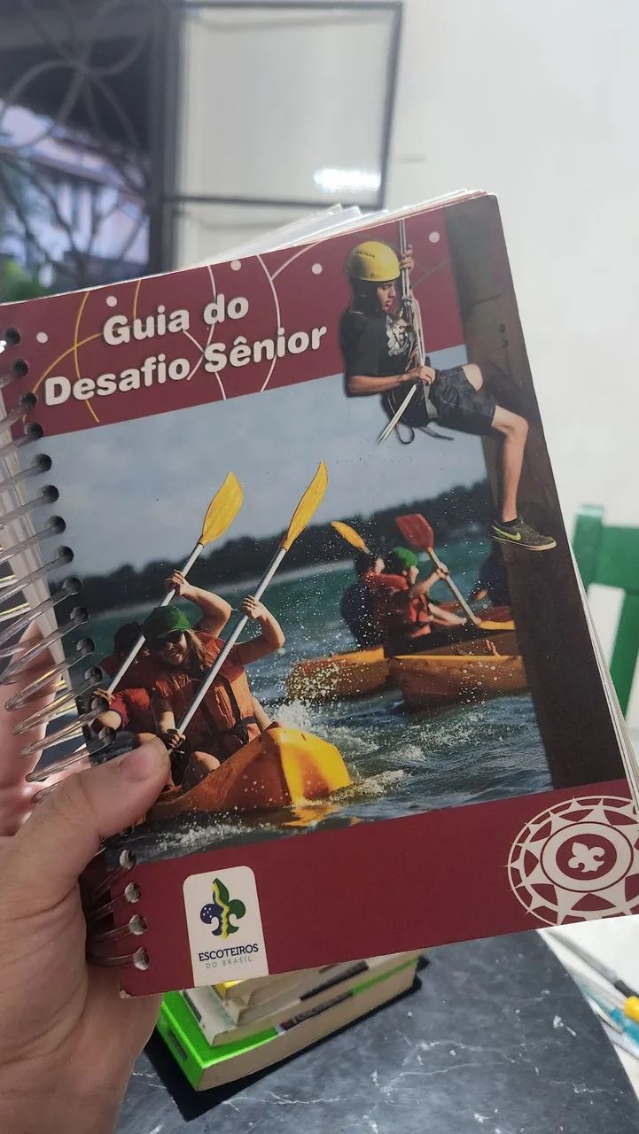 Guia Desafio Sênior 