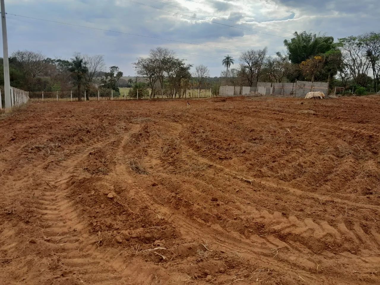 Terreno 3000m2 - Foto 3