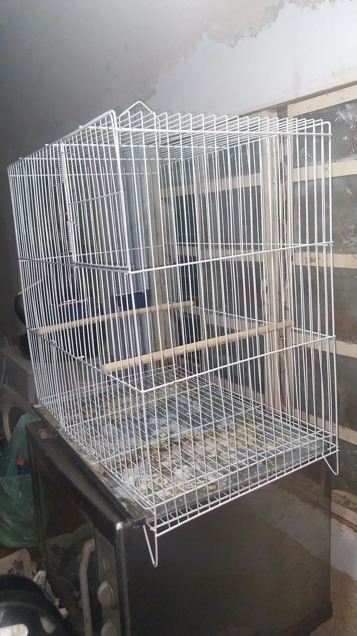 Gaiola pássaros 